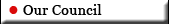 Our Council